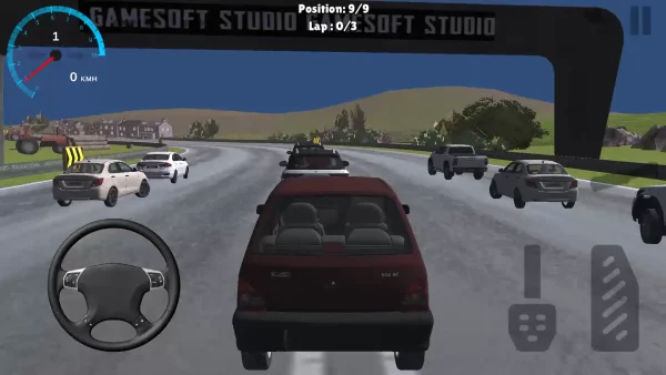 Snapshot 9